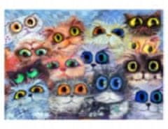 Norimpex Diamantová mozaika Kočky Barva Velké oči 30X40 cm