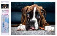 Norimpex Diamantová mozaika Boxerský pes se smutnýma očima 30X40 cm