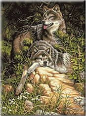 Norimpex Diamantová mozaika Vlci v lese 30X40 cm
