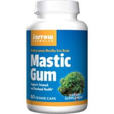 Jarrow Formulas Jarrow Formulas Mastic Gum 500 mg 60 tobolek 2965