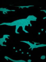 Svítící deka 150x200 fluorescenční dinosauři bílá modrá