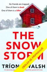 Walsh Triona: Sněhová bouře