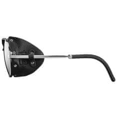 Brýle Julbo CHAM SP4, silver/shields black