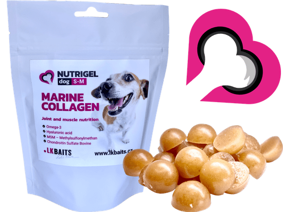 Lk Baits LK Baits Pet Nutrigel Dog Marine Collagen S-M,100g
