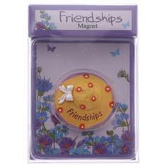 RS Magnet Friendships