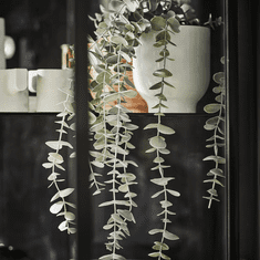 IKEA  Umělá rostlina v květináči eukalypt 58 cm