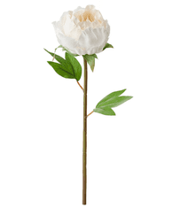 IKEA  Umělá květina Pivoňka bílá 30 cm