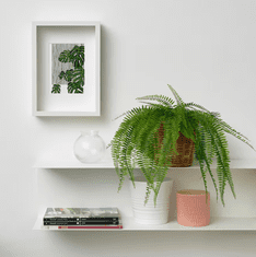 IKEA  Umělá rostlina v květináči Kapradina 47 cm