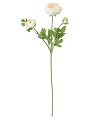 IKEA  Umělá květina Pryskyřník bílá 52 cm