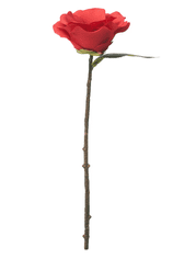 IKEA  Umělá květina Kamélie červená 28 cm