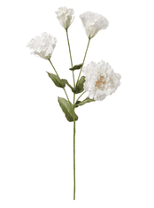 IKEA  Umělá květina Jícnovka bílá 60 cm