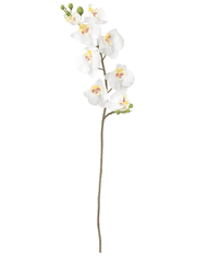 IKEA  Umělá květina Orchidea bílá 60 cm