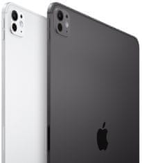 Apple iPad Pro Wi-Fi + Cellular, 11" 2024, 256GB, Silver (MVW23HC/A)