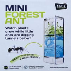T.A.O.S. T.A.O.S. T.A.O.S. Forest Ant Mini Antquarium