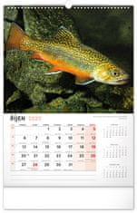 Grooters Nástěnný kalendář Rybářský 2025, 33 × 46 cm