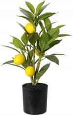 Koopman Umělá rostlina citroníku v květináči 43 cm
