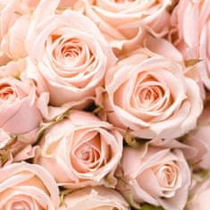 MAMI MILANO Rose in Fiore - Růže v Rozkvětu, Luxusní květinový difuzér, 200ml