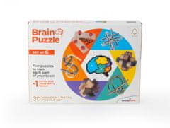 RecentToys Brain Puzzle - sada 6 kusů