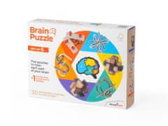 RecentToys Brain Puzzle - sada 6 kusů