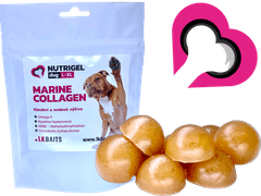 Lk Baits LK Baits Pet Nutrigel Dog Marine Collagen,L-XL,180g