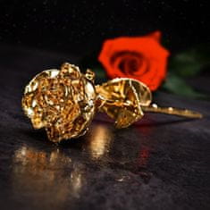 Manboxeo Zlatá růže v dárkové krabičce