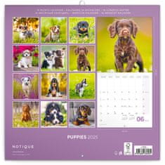 Presco Publishing Poznámkový kalendář Štěňata 2025, 30 × 30 cm