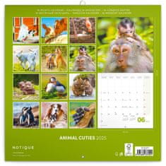 Presco Publishing Poznámkový kalendář Mláďata 2025, 30 × 30 cm