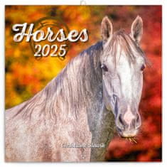 Grooters Poznámkový kalendář Koně – Christiane Slawik 2025, 30 × 30 cm