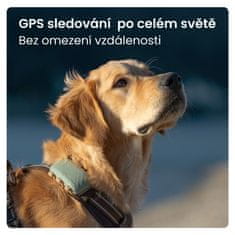 Tractive GPS DOG XL, zelený