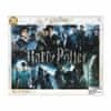 Puzzle Harry Potter - Poster