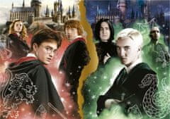 Educa Svítící puzzle Harry Potter 1000 dílků