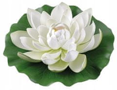 Floraland Leknín bílý velký 28 cm