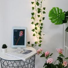 HOME & MARKER® Solární LED světla s umělými listy, Umělý břečťan Girlanda na Venkovní osvětlení s LED světly (5 m) | LEAFGLO