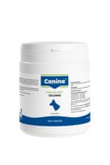 Canina Směs bylin na podporu kloubů, svalů, vazů a šlach (Gelenke) 300 g