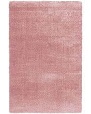 Sintelon AKCE: 80x150 cm Kusový koberec Dolce Vita 01/RRR 80x150