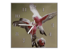 Glasdekor Nástěnné hodiny 30x30cm papoušek kakadu růžový - Materiál: kalené sklo