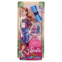 Mattel Barbie Wellness panenka s příslušenstvím