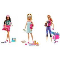 Mattel Barbie Wellness panenka s příslušenstvím