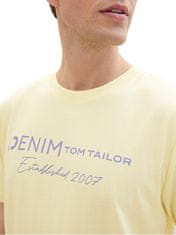 Tom Tailor Pánské triko Regular Fit 1042042.26299 (Velikost L)