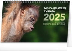 Grooters NOTIQUE Stolní kalendář Nejzajímavější zvířata 2025, 23,1 x 14,5 cm