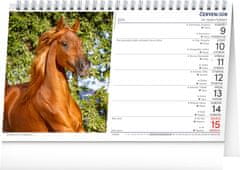 Grooters NOTIQUE Stolní kalendář Koně – Kone CZ/SK 2025, 23,1 x 14,5 cm