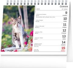 Grooters NOTIQUE Stolní kalendář Kočky – se jmény koček 2025, 16,5 x 13 cm