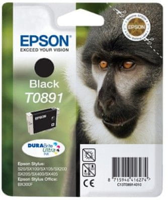 Epson T0891, černá (C13T08914010)