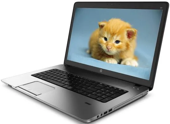 HP ProBook 470 (F0X42ES)