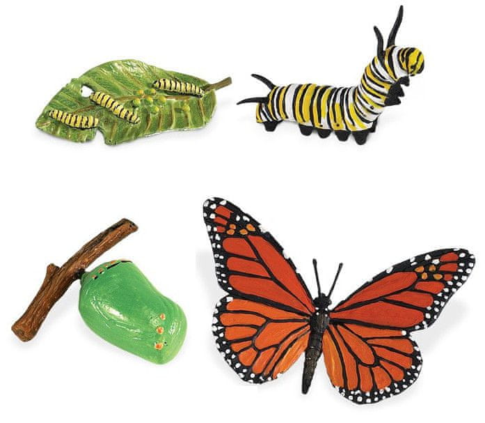 Levně Safari Ltd. Životní cyklus - Motýl