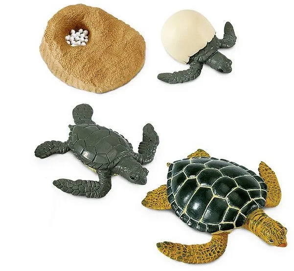 Levně Safari Ltd. Životní cyklus - Mořská želva