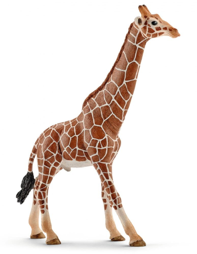 Schleich Žirafa samec 14749