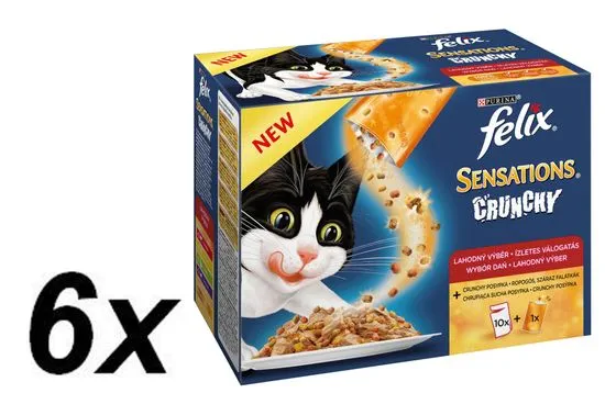 Felix Sensations Crunchy v želé 6 x (10 x 100g + 40g Crunchy)