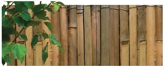 NOHEL GARDEN Rohož bambus štípaný 1x5m