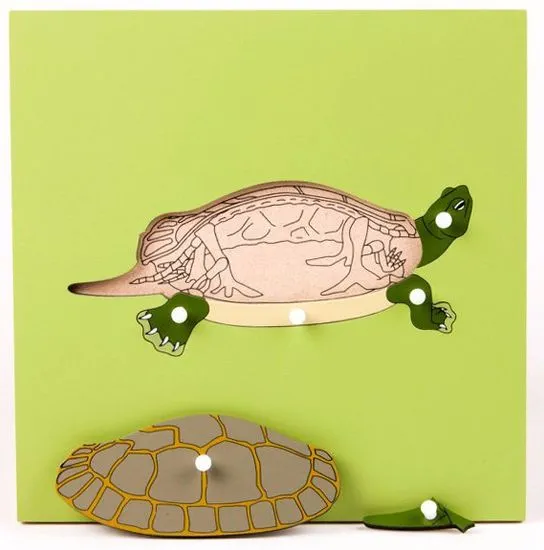 Montessori pomůcky Puzzle s kostrou - želva